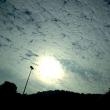 images/thumbsgallery/image11.jpg